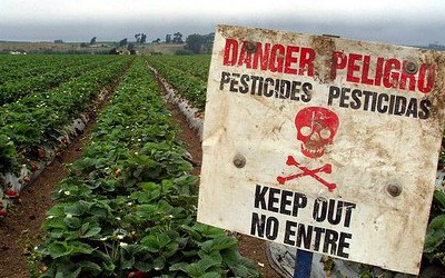 В Україні вивозять пестициди