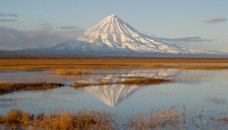 WWF просить комітет ЮНЕСКО захистити "Вулкани Камчатки"