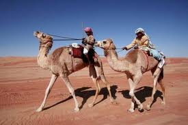 Південно-Західна Азія, транспорт, верблюд, караван, Туреччина, Сирія, транспортна мережа 