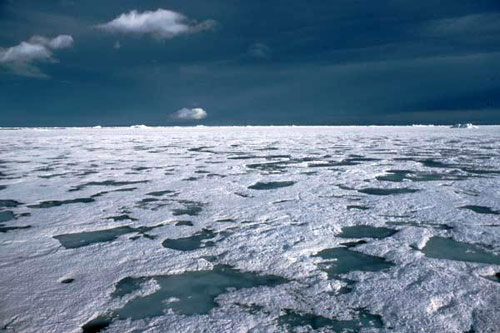 гляціологія, льодовики, Антарктида, озонова діра, льодовий покрив