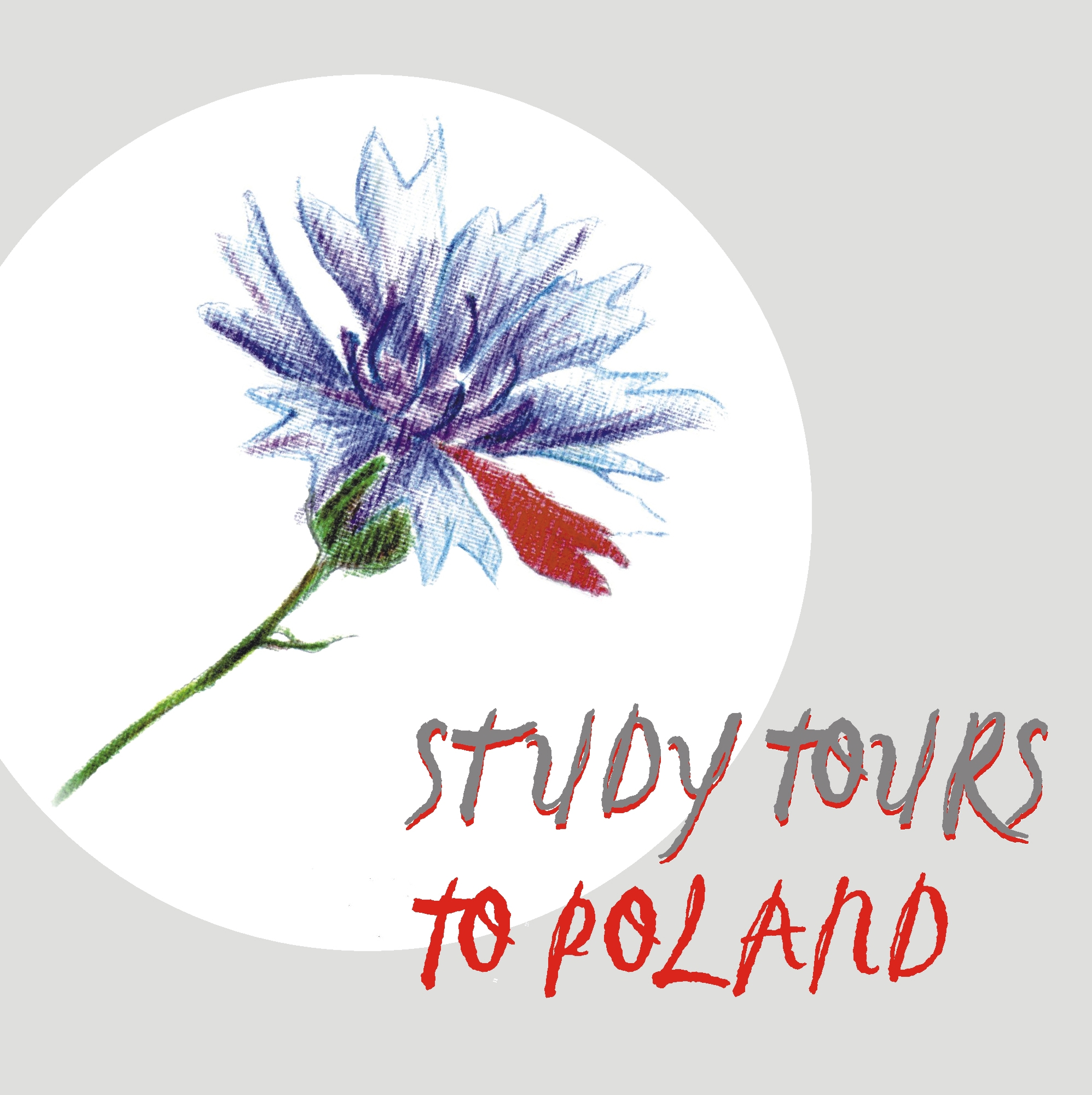 Study Tours, Польща, студентське навчання, поїздки