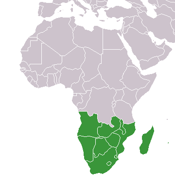 Загальні відомост, регіон, Південна Африка, ЕГП, площа